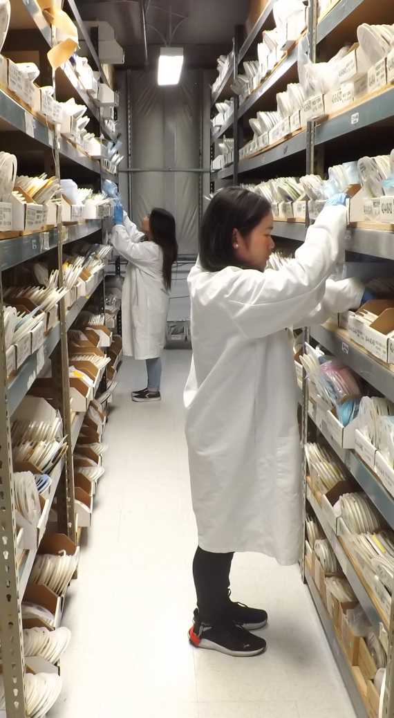 Barcode Scanning & Traceability